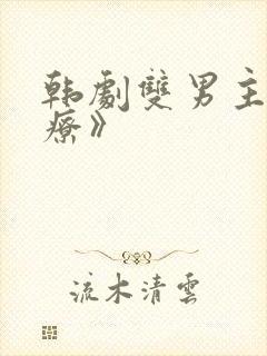 韩剧双男主《治疗》