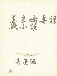 善良娇妻让公泄欲小说