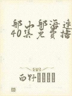 那山那海连续剧40集免费播放封面