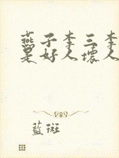 燕子李三李云龙是好人坏人封面