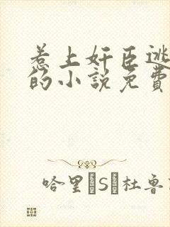 惹上奸臣逃不掉的小说免费阅读