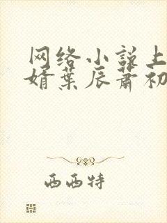 网络小说上门龙婿叶辰萧初然封面