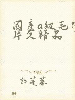国产a级毛伊人片久精品