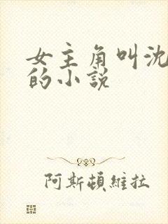 女主角叫沈知夏的小说