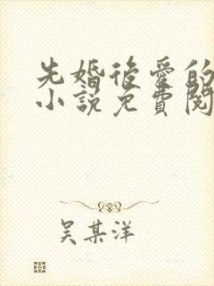 先婚后爱的军婚小说免费阅读全文封面