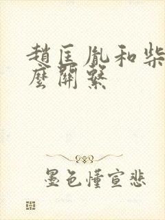 赵匡胤和柴荣什么关系
