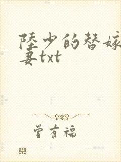 陆少的替嫁小娇妻txt