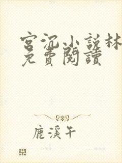 宫沉小说林知意免费阅读