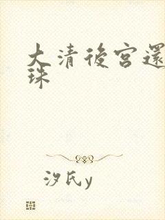 大清后宫还君明珠