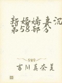 新婚娇妻沉沦1第58部分