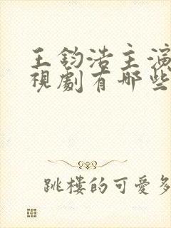 王钧浩主演的电视剧有哪些
