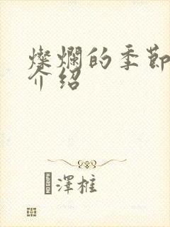 灿烂的季节剧情介绍封面