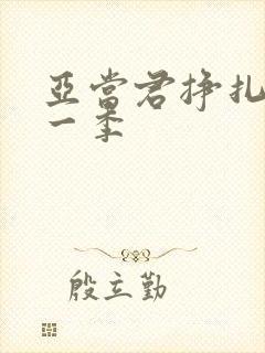 亚当君挣扎吧第一季