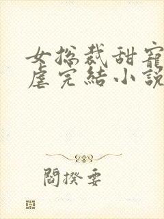 女总裁甜宠文无虐完结小说封面