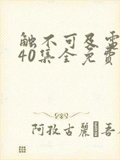 触不可及电视剧40集全免费播放封面