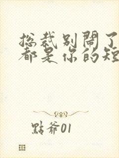 总裁别闹了孩子都是你的短剧免费观看全集