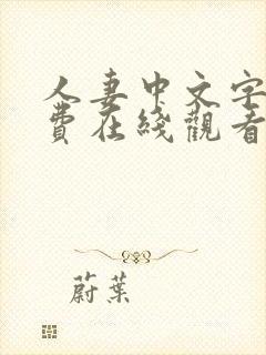 人妻中文字幕免费在线观看