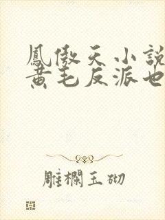 凤傲天小说里的黄毛反派也想要幸福封面