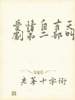 爱情自有天意短剧第二部叫什么