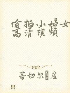 偷拍小妇女撒尿高清视频