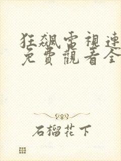 狂飙电视连续剧免费观看全集