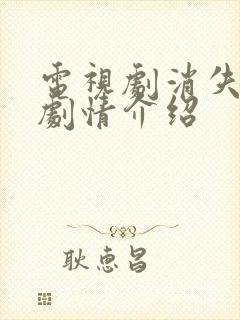 电视剧消失的她剧情介绍封面