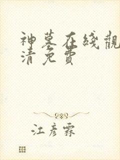神墓在线观看高清免费