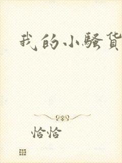 我的小骚货