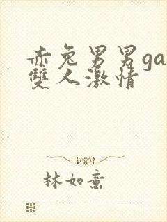 赤兔男男gay双人激情