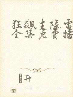 狂飙支队电视剧全集免费播放