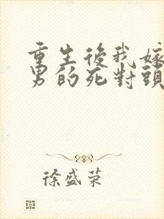 重生后我嫁给渣男的死对头短剧封面