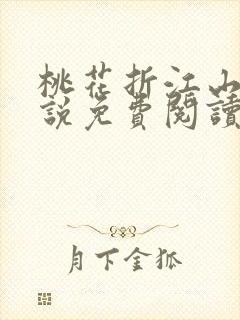桃花折江山 小说免费阅读全集封面