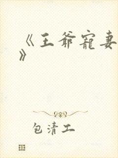 《王爷宠妻无度》