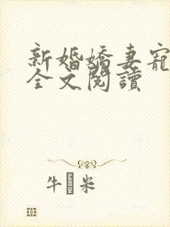 新婚娇妻宠上瘾全文阅读