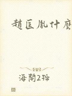 赵匡胤什么关系