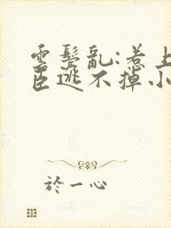 云鬓乱:惹上奸臣逃不掉小说txt
