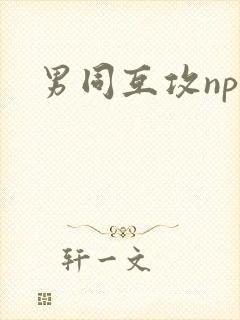 男同互攻np