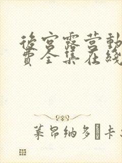 后宫露营动漫免费全集在线观看封面