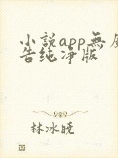 小说app无广告纯净版