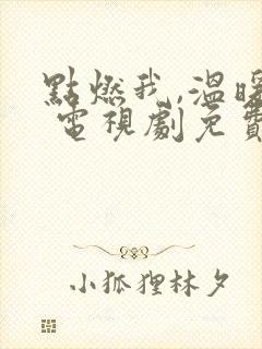 点燃我,温暖你 电视剧免费