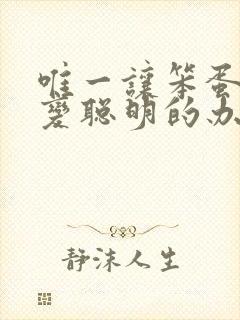 唯一让笨蛋妹妹变聪明的办法动漫在线看