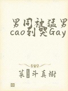 男同被猛男房东cao到哭Gay