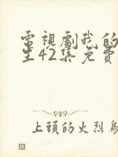 电视剧我的后半生42集免费播放
