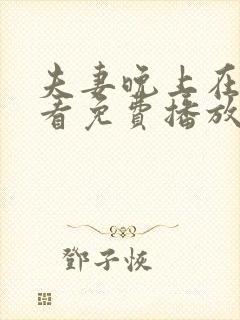 夫妻晚上在线观看免费播放电视剧