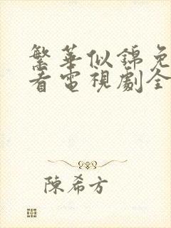 繁华似锦免费观看电视剧全集播放下载