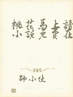 桃花马上请长缨小说免费在线阅读