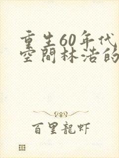 重生60年代带空间林浩的小说