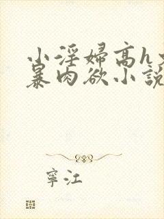小淫妇高h文黄暴肉欲小说