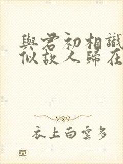 与君初相识,恰似故人归在线观看