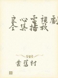 良心电视剧免费全集播放